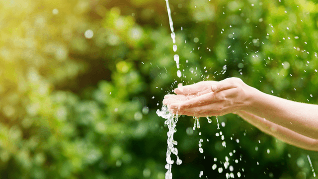 Osservatorio Osservatorio