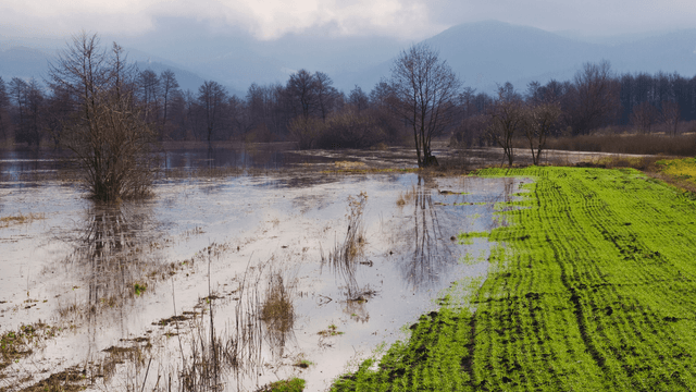Gestione del rischio alluvioni Alluvione